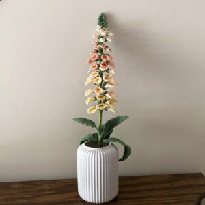 Peach Gradient Color