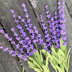 Dark Purple Version (#70)